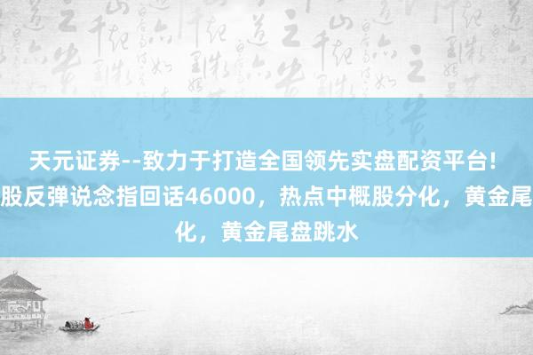 天元证券--致力于打造全国领先实盘配资平台! 好意思股反弹说念指回话46000，热点中概股分化，黄金尾盘跳水