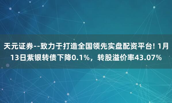 天元证券--致力于打造全国领先实盘配资平台! 1月13日紫银转债下降0.1%，转股溢价率43.07%