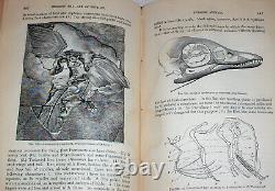 1893 Geology FOSSILS Dinosaur Extinct Trilobite Paleontology Tooth CT Civil War