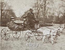 CIVIL War African American Coachman Drives Children In New York's Central Park