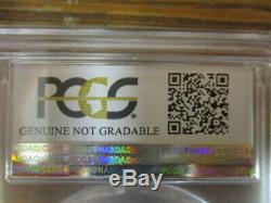 Civil war dog tag graded authentic PCGS graffiti VG J Bean NY 1st Vol Arty