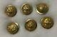 Lot Of 6 Civil War New York Excelsior Buttons Brass Dome Scovill Waterbury