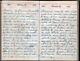 Rare 1874 Handwritten Post Civil War Diary Much Sickness Hamlin Monroe Ny